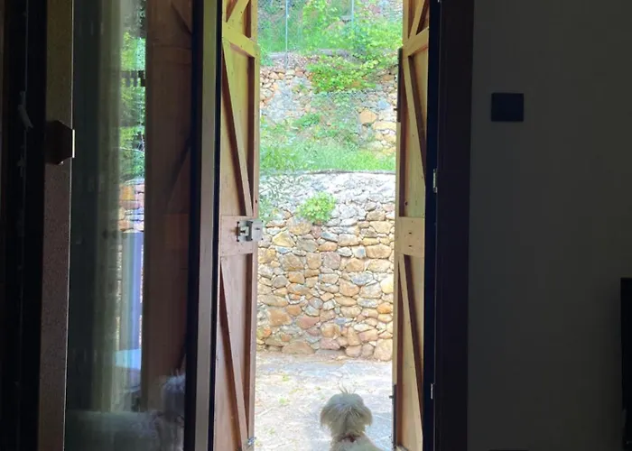 Casa Del Bosco Σπίτι διακοπών Rubiana